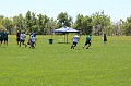 IMG_6546