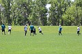 IMG_6549