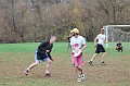 IMG_9245