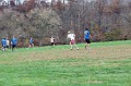 IMG_9404