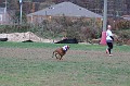 IMG_9658