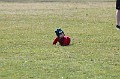 IMG_4858