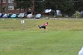IMG_7587