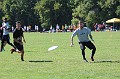 IMG_6548
