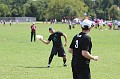 IMG_6599