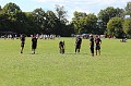 IMG_6619