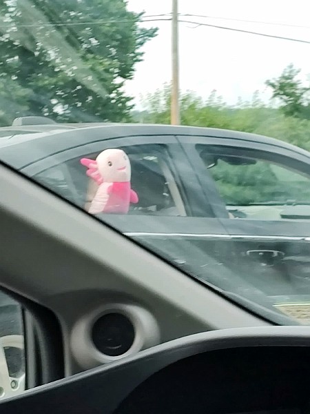 img_s1i.jpg - Lavc61.19.100