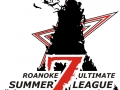 roanokeultimate-summerleague-2013.jpg